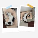 시월 <b>시월</b>이 이모와 아랫층 노부부