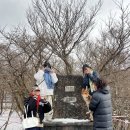 우리들의월정리 이미지