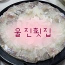 갈매기회센타 - 구미시 | 갈매기회센타