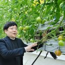 씨에스시스템(주) 네이버블로그