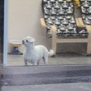 뽀그리멍 이미지