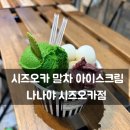 나나야 | 시즈오카 나나야 말차 아이스크림 5단계 후기, 7단계까지 있는 진짜 말차 맛집