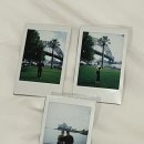 [시드니] 우리다움 스냅/ 시드니 스냅사진 내돈내산 후기📸