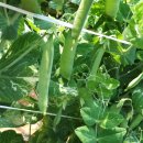 양호농장 이미지