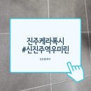 신진주역세권 | 진주 케라폭시 신진주역세권 우미린 아파트 줄눈시공 후기