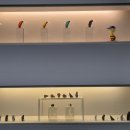 킴스보청기센타 이미지