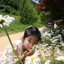 강촌유원지 이미지