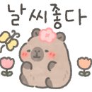 꽃나루학원 이미지