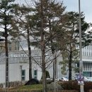 한국교육과정평가원 앞 | 한국교육과정평가원 체험형 인턴 최종 합격 후기!