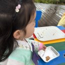 2025 삼강주막나루터축제 | 2025 삼강주막나루터축제