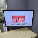 일년농사 | 강남 브라질리언 레이저제모 일년농사 12회차 후기(ft.남자원장님)