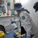 광명7동 행정복지센터 이미지