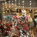 뉴코아세탁소 이미지