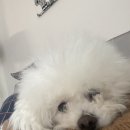 크로스핏 한옥(중화산센터) 이미지