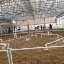 바모스하우스 이미지