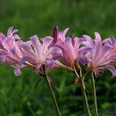 운대2리 이미지