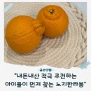 진하농장 | 노지한라봉 내돈내산 후기｜제주에서 온 진짜 맛