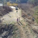 솔흑염소농장 이미지