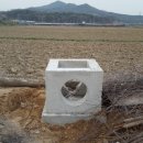 봄이네농장 이미지