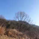 극락산( 極樂山499m). 흑운산(447m). 구화산(328m). 당산(309m). 달봉산(306m)/경북김천 이미지