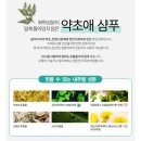 26년 폭염속 모발을 지켜라!! 이미지
