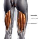 트라이핏 이미지