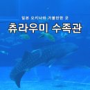 중부-현장-중부-1850 | 일본여행 오키나와 가볼만한곳 츄라우미 수족관 입장료 할인 꿀팁 운영시간 소요시간 무료기념사진