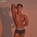 분당-382 이미지