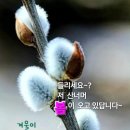 봄이 오면 ㅡ장 미화 노래ㅡ 아름다운 ㅡ 봄 이미지 영상입니다ㅡ 이미지