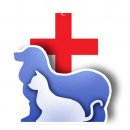 오거리동물병원 이미지