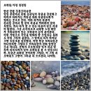 조약돌 티스토리