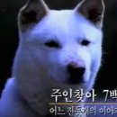 세진스토리