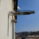 대선월드피아 이미지