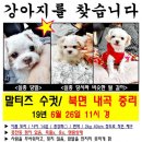 중리마을 이미지