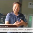 크린피아 이미지