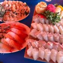 제주도 맛집 김녕오라이 솔직후기 | 돔베사시미 딱새우 회 뿔소라회 제주 동쪽 구좌읍 핫플