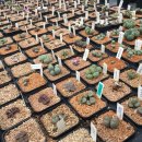 박종남농장 이미지