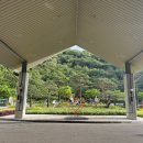 희라낙지 | 경기도 1박2일 여행 화담숲 곤지암리조트 &amp; 미라시아 조식 후기