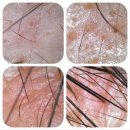 태환농장 | 올정한자라모후기 3탄 (올정한자라모 샴푸/ 올정한자라모 샴푸바 3종세트 사용법)