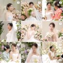[W02] 사랑재 본식 DVD 업체 비교 / 코지레코드 계약 후기 🎥 (짝꿍구해요)