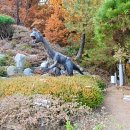 덕평공룡수목원 이미지