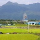 풍요로(동) | 전라도의 역사와 유래 – 풍요로운 땅, 예향의 고장 이야기