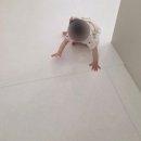 현대매트 | 1200 대형매트 선택 전 꼭 확인하세요｜서울 갈현동 현대아파트 층간소음매트 시공 후기 [라라매트서울점]