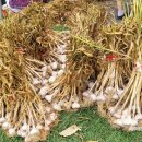 서산엔마트