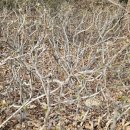 홍산한의원 이미지