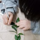 그림책 테라피 엄마 먼저 그림책 이미지