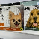 참진약국 이미지