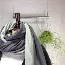 w소프트 이미지