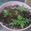 태산환경 이미지