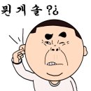 핑크타이거 이미지